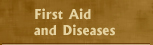 Primeros auxilios y enfermedades
